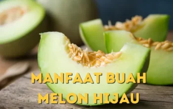 Manfaat Buah Melon Hijau