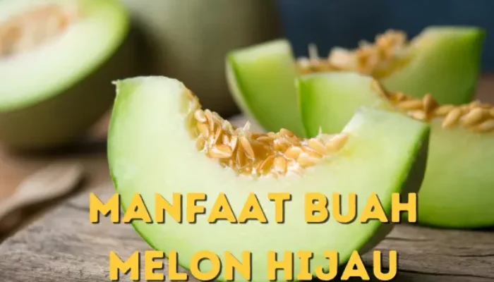 Fakta Menarik Manfaat Buah Melon Hijau Super Amazing
