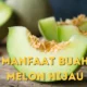 Fakta Menarik Manfaat Buah Melon Hijau Super Amazing